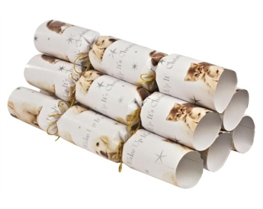 Guide dogs Christmas crackers.jpg Guide dogs Christmas crackers.jpg